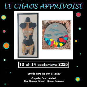 Exposition le chaos apprivoisé - Basse Goulaine - NPhenix