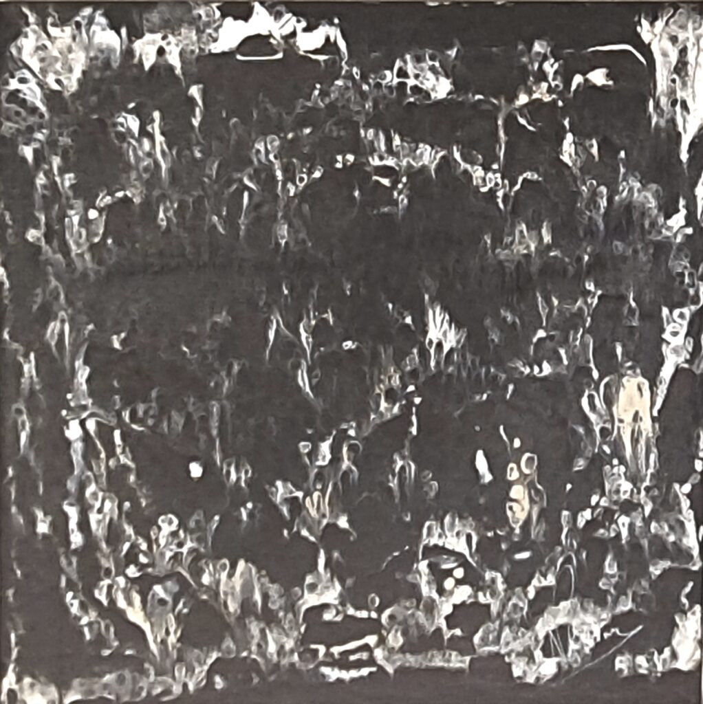 Ames suspendues - NPhenix